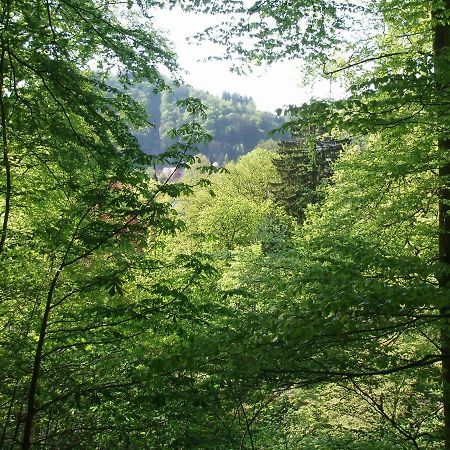 Pension/Bed And Breakfast Pangea Bad Lauterberg Buitenkant foto