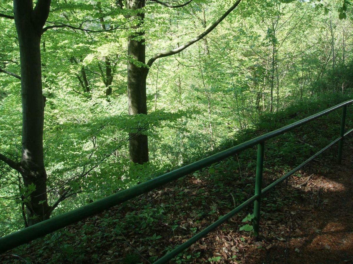 Pension/Bed And Breakfast Pangea Bad Lauterberg Buitenkant foto