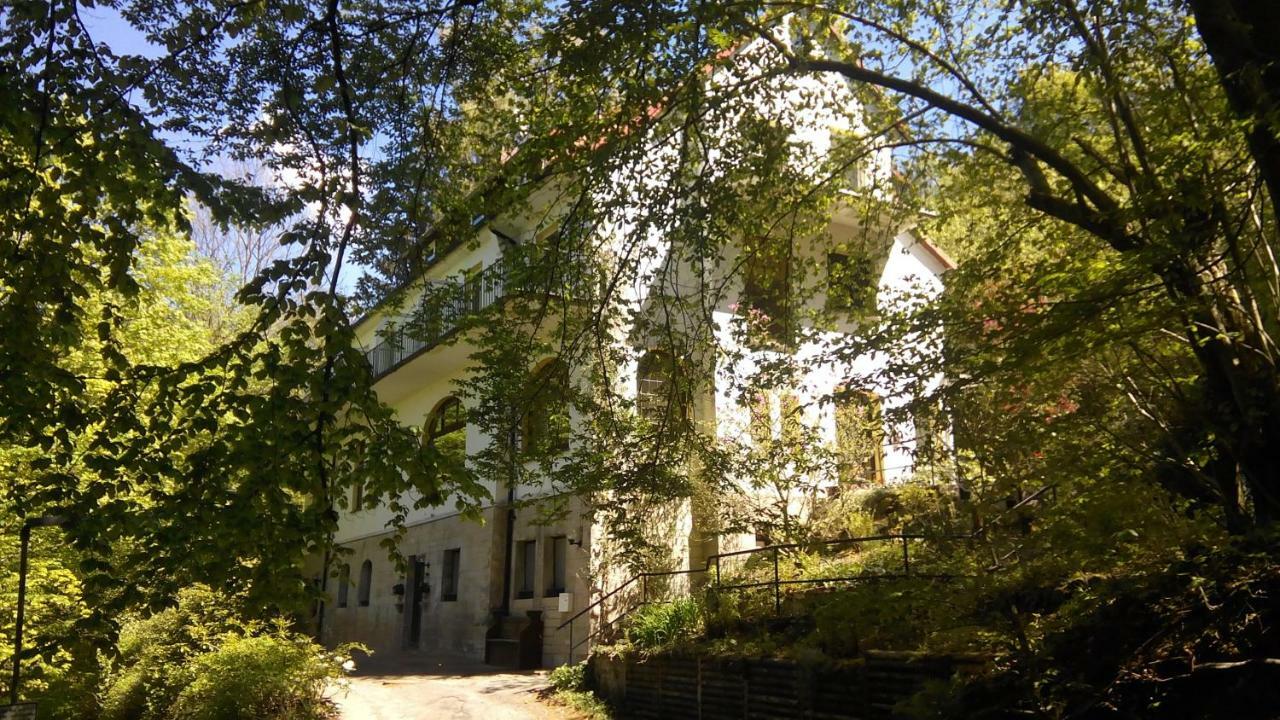 Pension/Bed And Breakfast Pangea Bad Lauterberg Buitenkant foto