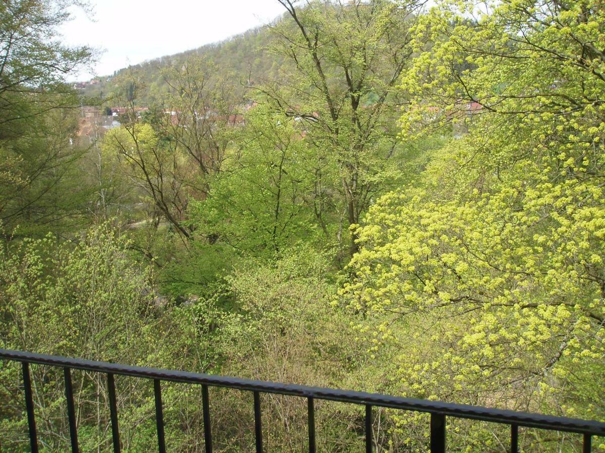 Pension/Bed And Breakfast Pangea Bad Lauterberg Buitenkant foto