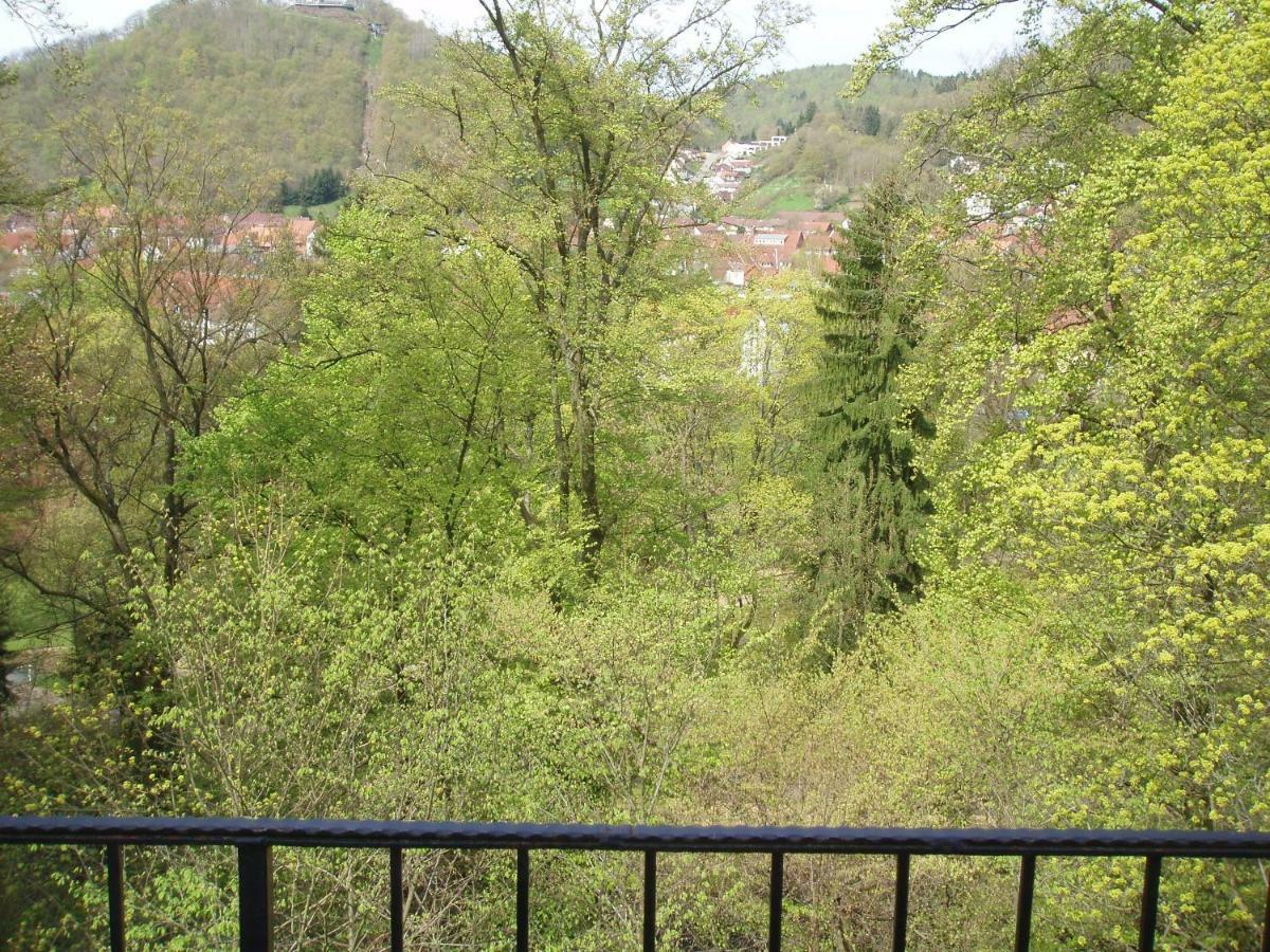 Pension/Bed And Breakfast Pangea Bad Lauterberg Buitenkant foto